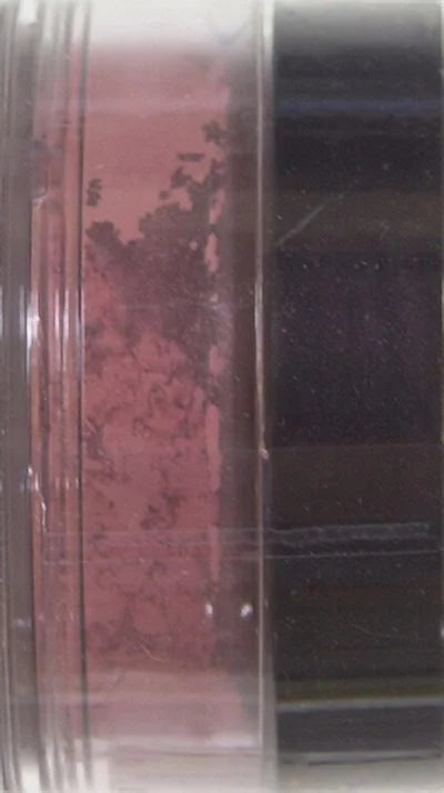 Maybelline Mineral Power Blush - Gentle Pink