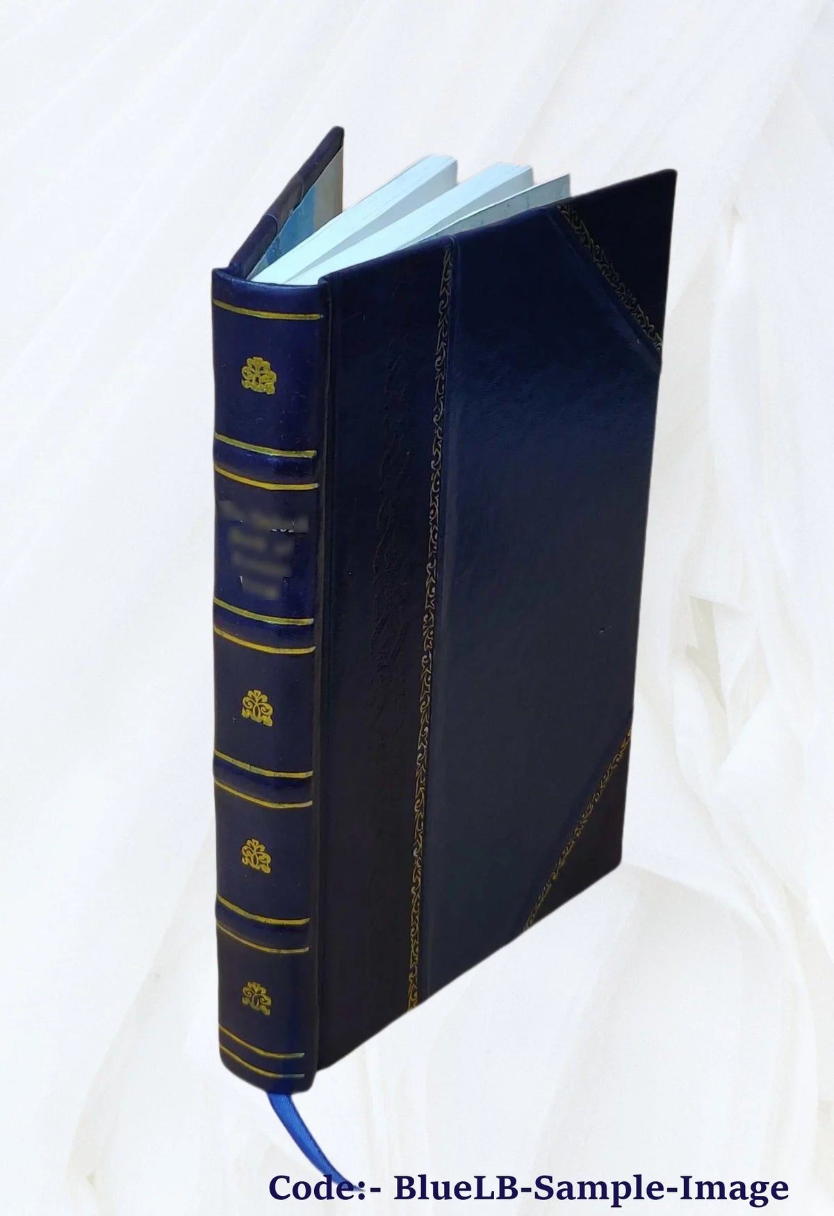 Topee And Turban 1921 [Leather Bound]