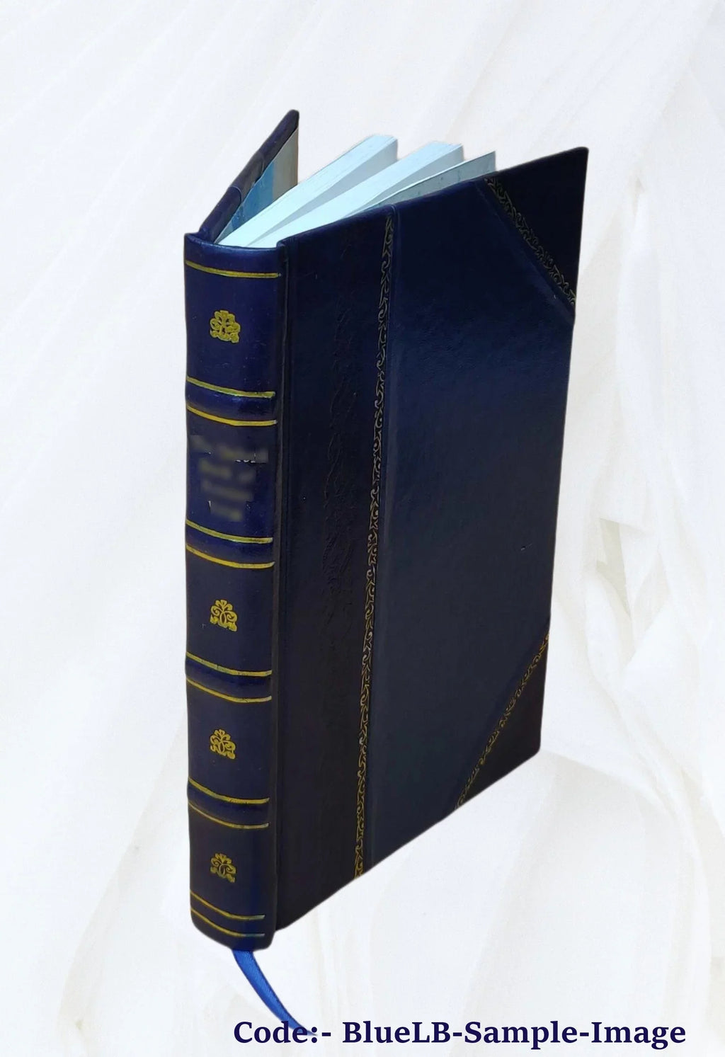 Ralf Sizekirlaugh, the Lincolnshire squire : a novel Volume 2 1870 [Leather Bound]