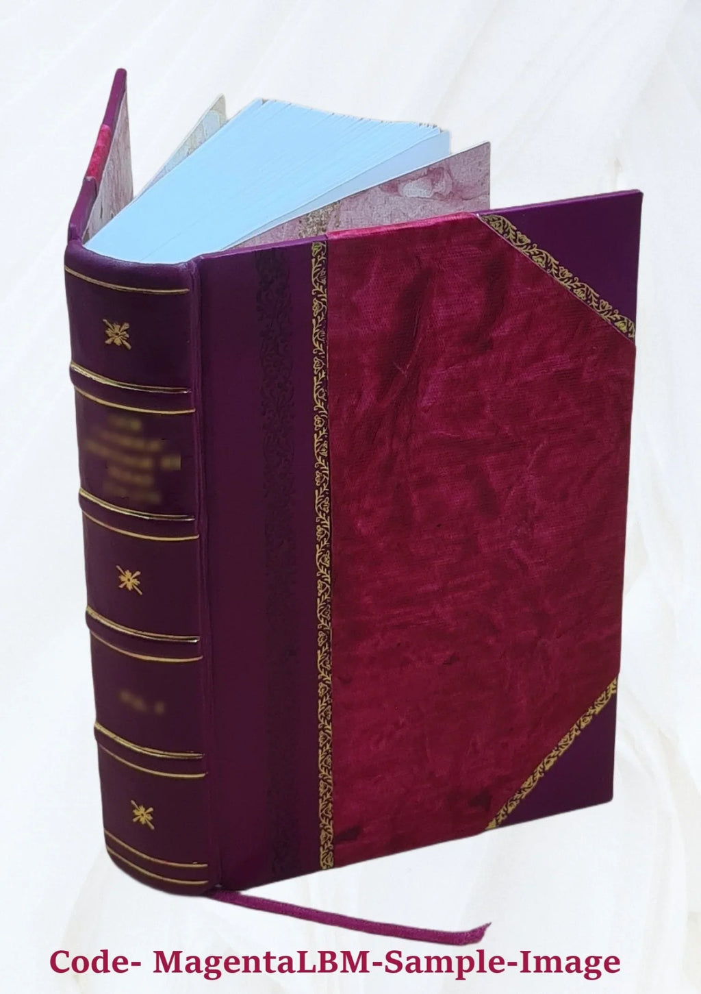 C. Crispi Sizeallustii Opera quae exstant omnia cum indicibus curante I.L. Burnouf 1827 [Leather Bound]