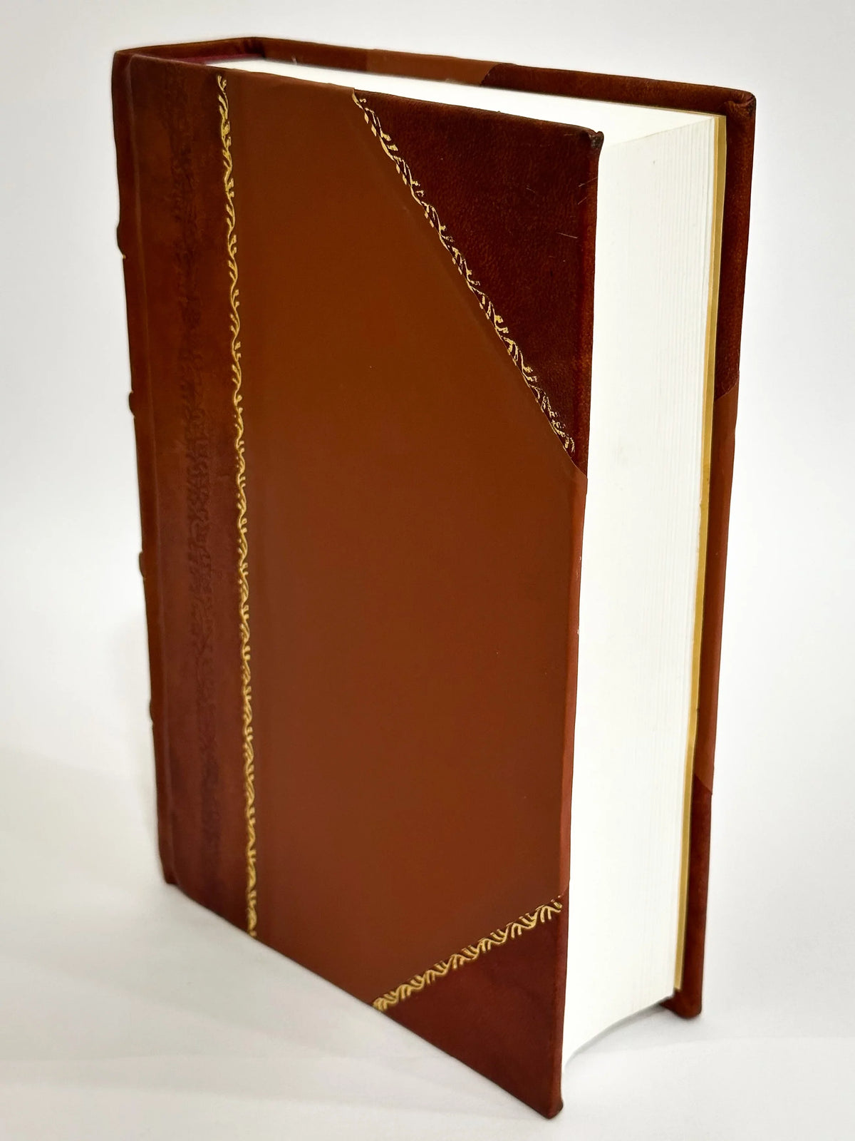 Sizetoria Dei Papi Da Sizean Pietro a Pio Ix. / Aurelio Bianchi Giovini (1871) (1871) [Leather Bound]