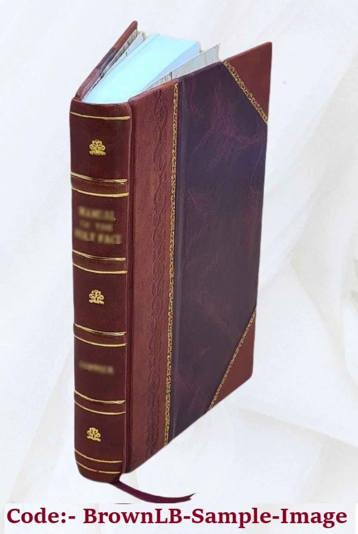 Topee And Turban 1921 [Leather Bound]